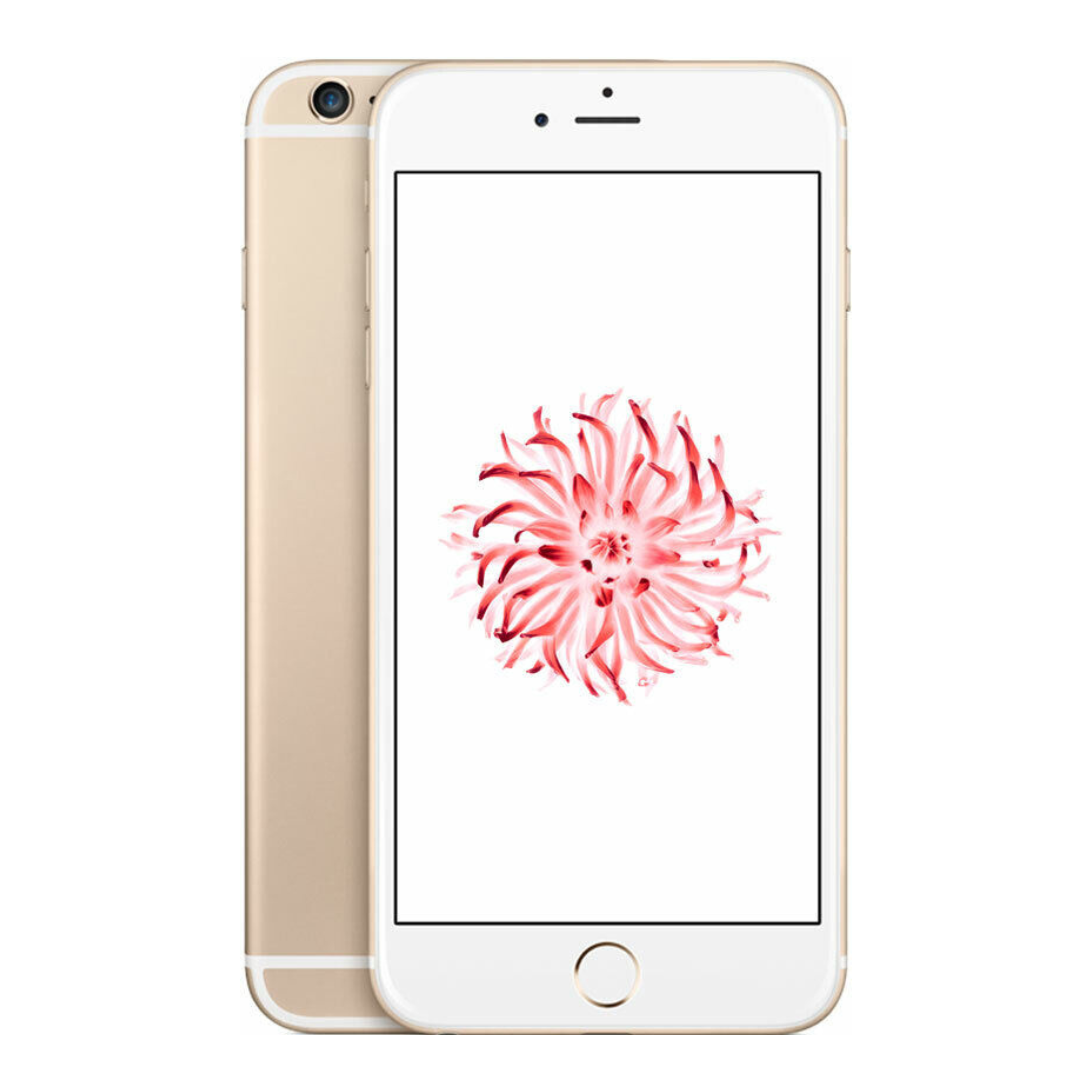 iPhone 6