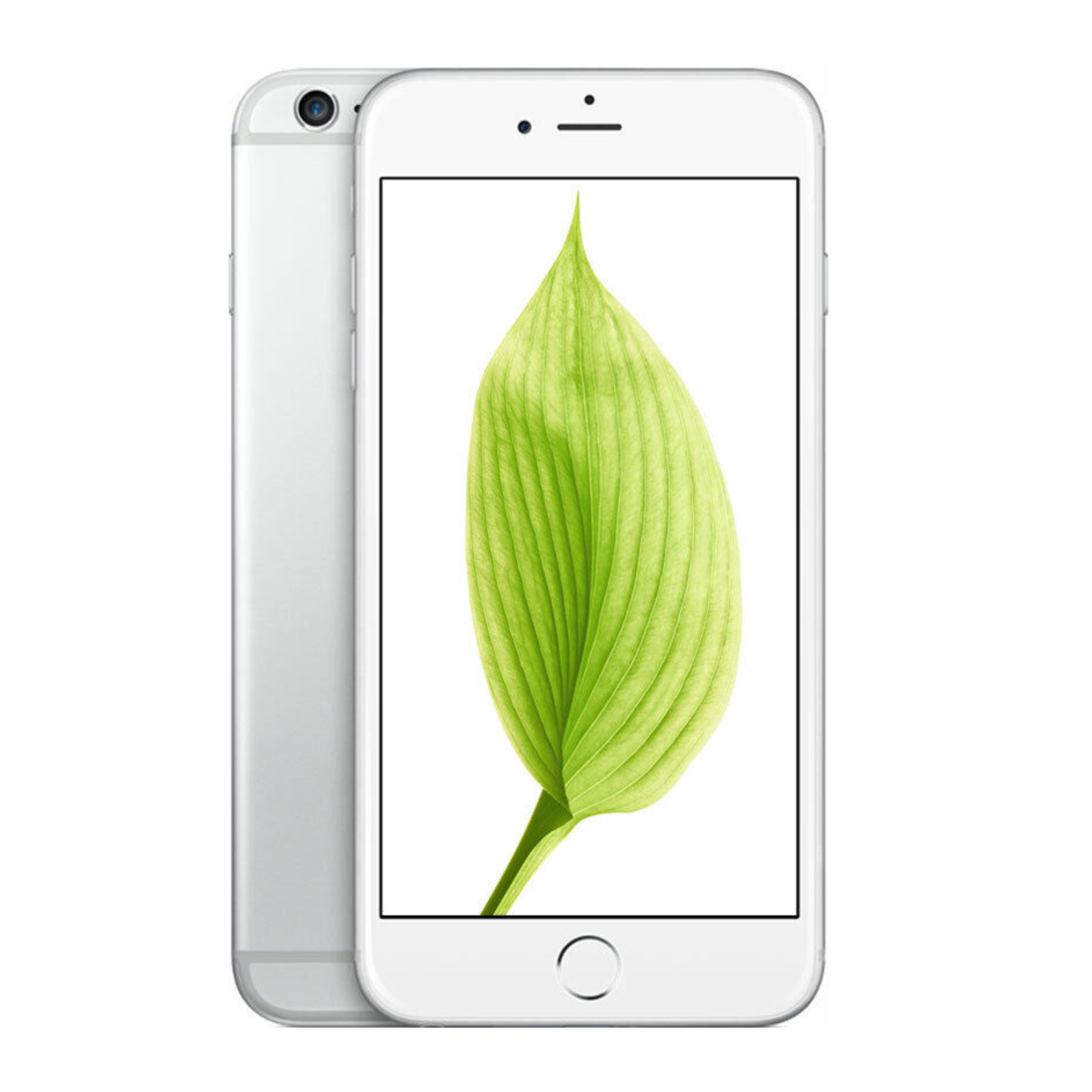 iPhone 6