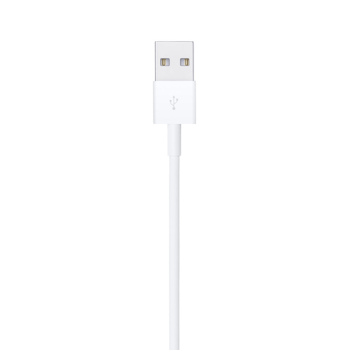 Apple USB charging cable - LIGHTNING