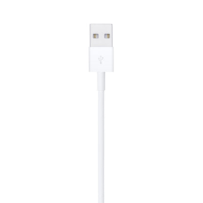 Apple USB charging cable - LIGHTNING