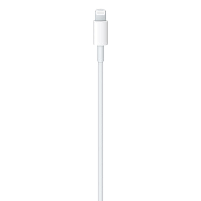 Apple USB charging cable - LIGHTNING