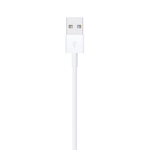 Apple USB charging cable - LIGHTNING